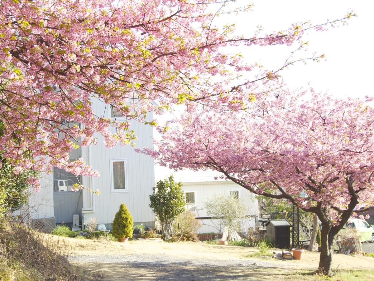 Country Inn Galley 이토 외부 사진